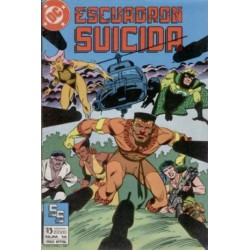ESCUADRON SUICIDA Nº 1 AL 8 ,10 Y 14 EDICIONES ZINCO