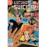 ESCUADRON SUICIDA Nº 1 AL 8 ,10 Y 14 EDICIONES ZINCO
