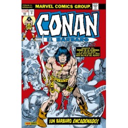 CONAN EL BARBARO VOL.1 AL 5 OMNIBUS ED.PANINI
