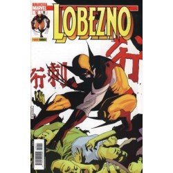 LOBEZNO Nº 11 BIBLIOTECA...