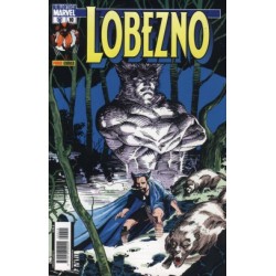 LOBEZNO Nº 10 BIBLIOTECA...