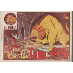 EL PUMA 1ª SERIE COL.COMPLETA 60 TEBEOS , EDICION ORIGINAL, EXCELENTE  ESTADO DE CONSERVACION, EDITORIAL MARCO