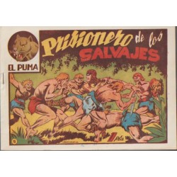 EL PUMA 1ª SERIE COL.COMPLETA 60 TEBEOS , EDICION ORIGINAL, EXCELENTE  ESTADO DE CONSERVACION, EDITORIAL MARCO