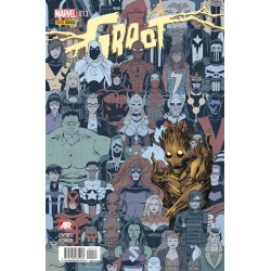 GROOT Nº 1 AL 4 ( MAPACHE...