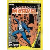 CLASICOS MARVEL ESPECIALES : CAPITAN AMERICA DE JIM STERANKO, DAREDEVIL DE ROY THOMAS Y BARRY WINDSOR SMITH,LA COSA CONTRA NAMOR DE JOHN BUSCEMA ,LOS VENGADORES LA LLEGADA DE LA VISION ,ESTELA PLATEADA DE BYRNE Y STAN LEE Y WARLOCK DE JIM STARLIN