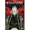 SANDMAN LOS CAZADORES DE SUEÑOS POR NEIL GAIMAN Y P.C.RUSSELL