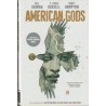 AMERICAN GODS LIBRO 1 , USA,INGLES , SOMBRAS POR NEIL GAIMAN ( SANDMAN )
