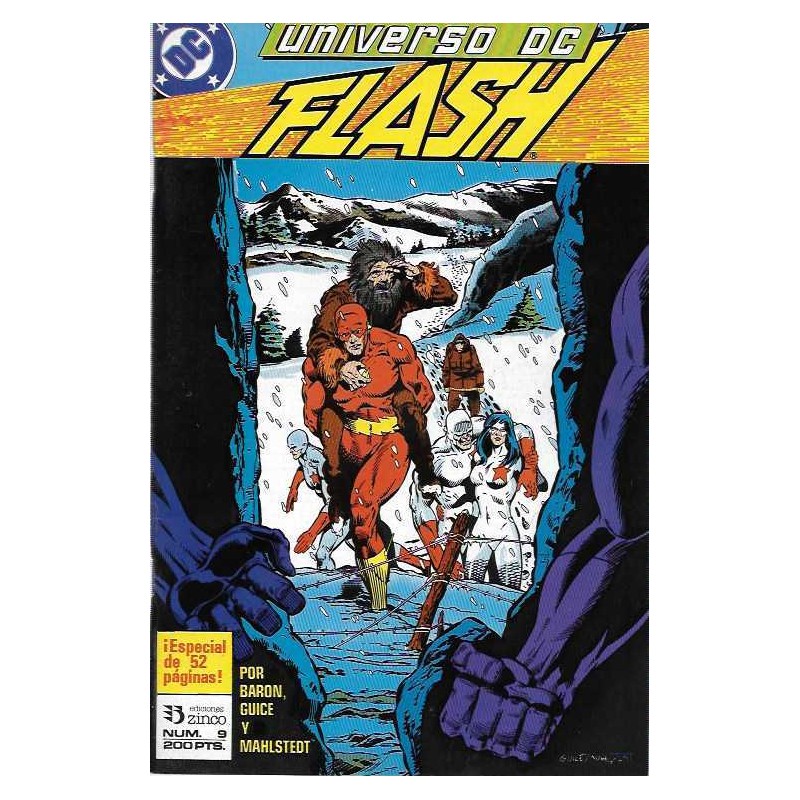 UNIVERSO DC Nº 9 EDICIONES ZINCO FLASH POR MIKE BARON