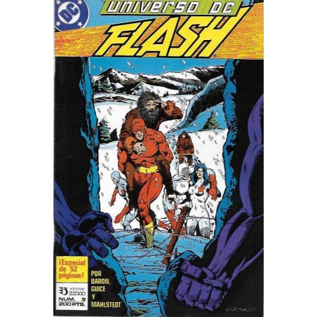 UNIVERSO DC Nº 9 EDICIONES ZINCO FLASH POR MIKE BARON