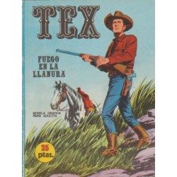 TEX Nº 17 FUEGO EN LLANURA...