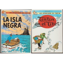 POSTALES TINTIN , LOTE DE 10 POSTALES
