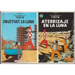 POSTALES TINTIN , LOTE DE 10 POSTALES