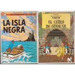 POSTALES TINTIN , LOTE DE 10 POSTALES