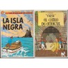 POSTALES TINTIN , LOTE DE 10 POSTALES