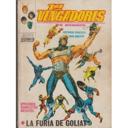 LOS VENGADORES Nº 29...