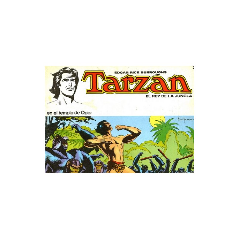 TARZAN EL REY DE LA JUNGLA Nº 1 A 8 EDITORIAL NOVARO PAGINAS DOMINICALES POR RUSS MANNING