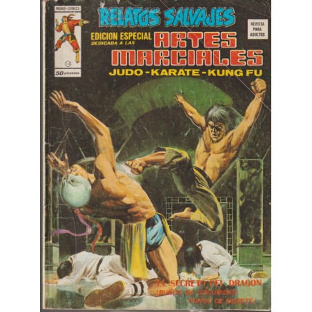 ARTES MARCIALES VOL.1 LOTE DE 10 TEBEOS , Nº 7,9,10,14,16,17,18,27,29 Y 47