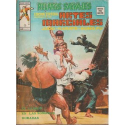 ARTES MARCIALES VOL.1 LOTE DE 10 TEBEOS , Nº 7,9,10,14,16,17,18,27,29 Y 47