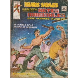 ARTES MARCIALES VOL.1 LOTE DE 10 TEBEOS , Nº 7,9,10,14,16,17,18,27,29 Y 47