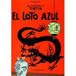TINTIN COL.COMPLETA 25...