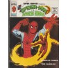 SPIDERMAN  EN SUPER HEROES PRESENTA ED.VERTICE VOL.2 LOTE DE 37 EJEMPLARES