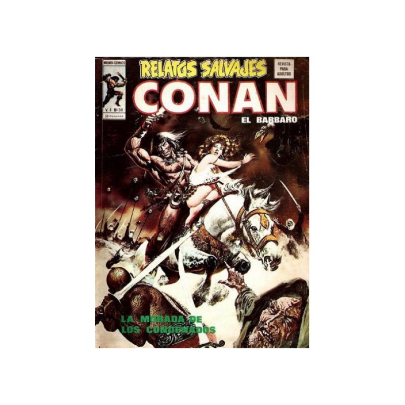 RELATOS CONAN EL BARBARO LOTE DE 22 DE 44 COMICS , EXCELENTE ESTADO DE CONSERVACION