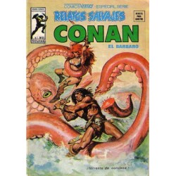 RELATOS CONAN EL BARBARO LOTE DE 22 DE 44 COMICS , EXCELENTE ESTADO DE CONSERVACION