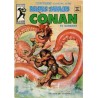 RELATOS CONAN EL BARBARO LOTE DE 22 DE 44 COMICS , EXCELENTE ESTADO DE CONSERVACION
