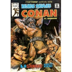 RELATOS CONAN EL BARBARO LOTE DE 22 DE 44 COMICS , EXCELENTE ESTADO DE CONSERVACION