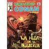 RELATOS CONAN EL BARBARO LOTE DE 22 DE 44 COMICS , EXCELENTE ESTADO DE CONSERVACION