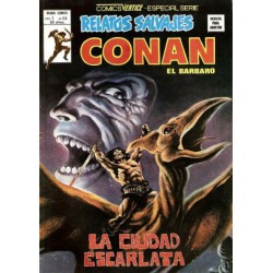 RELATOS CONAN EL BARBARO LOTE DE 22 DE 44 COMICS , EXCELENTE ESTADO DE CONSERVACION