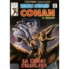 RELATOS CONAN EL BARBARO LOTE DE 22 DE 44 COMICS , EXCELENTE ESTADO DE CONSERVACION