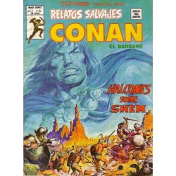 RELATOS CONAN EL BARBARO LOTE DE 22 DE 44 COMICS , EXCELENTE ESTADO DE CONSERVACION