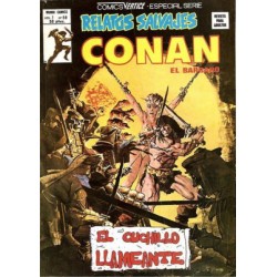 RELATOS CONAN EL BARBARO LOTE DE 22 DE 44 COMICS , EXCELENTE ESTADO DE CONSERVACION