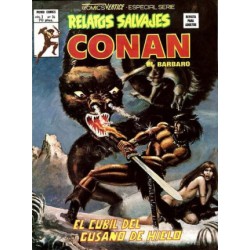 RELATOS CONAN EL BARBARO LOTE DE 22 DE 44 COMICS , EXCELENTE ESTADO DE CONSERVACION