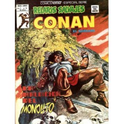 RELATOS CONAN EL BARBARO LOTE DE 22 DE 44 COMICS , EXCELENTE ESTADO DE CONSERVACION