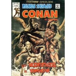 RELATOS CONAN EL BARBARO LOTE DE 22 DE 44 COMICS , EXCELENTE ESTADO DE CONSERVACION