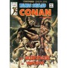 RELATOS CONAN EL BARBARO LOTE DE 22 DE 44 COMICS , EXCELENTE ESTADO DE CONSERVACION