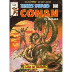 RELATOS CONAN EL BARBARO LOTE DE 22 DE 44 COMICS , EXCELENTE ESTADO DE CONSERVACION