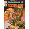 RELATOS CONAN EL BARBARO LOTE DE 22 DE 44 COMICS , EXCELENTE ESTADO DE CONSERVACION