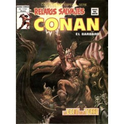 RELATOS CONAN EL BARBARO LOTE DE 22 DE 44 COMICS , EXCELENTE ESTADO DE CONSERVACION