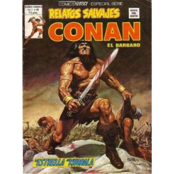 RELATOS CONAN EL BARBARO LOTE DE 22 DE 44 COMICS , EXCELENTE ESTADO DE CONSERVACION