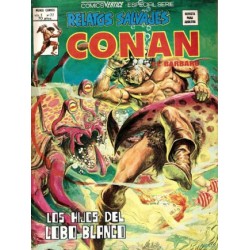 RELATOS CONAN EL BARBARO LOTE DE 22 DE 44 COMICS , EXCELENTE ESTADO DE CONSERVACION