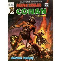 RELATOS CONAN EL BARBARO LOTE DE 22 DE 44 COMICS , EXCELENTE ESTADO DE CONSERVACION