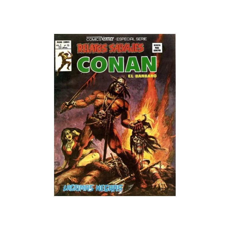 RELATOS CONAN EL BARBARO LOTE DE 19 DE 44 COMICS , EXCELENTE ESTADO DE CONSERVACION