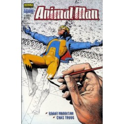 ANIMAL MAN Nº 1 AL 12 ED.ZINCO MAS ORIGEN EN UNIVRSO DC Nº 21 POR GRANT MORRISON