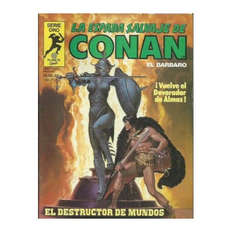 LA ESPADA SALVAJE DE CONAN VOL1 DISPONIBLES