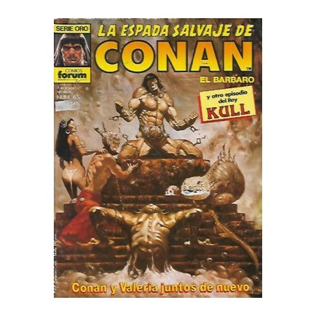 LA ESPADA SALVAJE DE CONAN VOL1 1ª ED DISPONIBLES