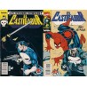 EL CASTIGADOR ( THE PUNISHER )