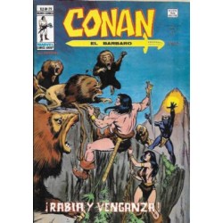 CONAN EL BARBARO VERTICE VOL.2 DISPONIBLES